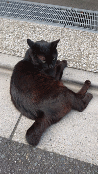 レジデント日記 201908-2